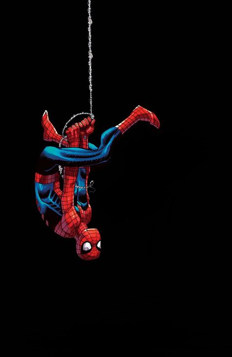 Spider-Man Spider Man Climbing Wall, Spider Man Upside Down, Spider Man Web Wallpaper, Spider Man Apple Watch Face, Spider Man Graffiti, Spiderman Jumping, Spider Man Background, Spiderman Pics, Spiderman Swinging