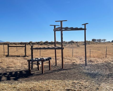 Turkey Roost Diy, Turkey House Coop, Turkey Housing, Turkey Habitat, Turkey Coop, Turkey Roost, Turkey Ideas, Bird Ideas, Diy Turkey