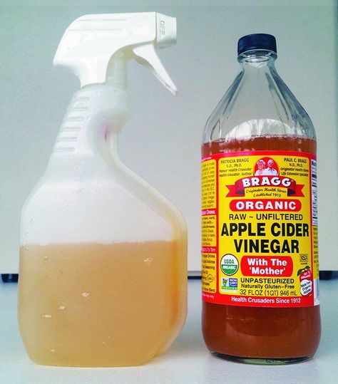 Apple Cider Vinegar Dogs, Apple Cider Vinegar For Dogs, Dog Flea Remedies, Dog Hot Spots, Apple Cider Vinegar Rinse, Flea Remedies, Dog Spray, Dog Journal, Vinegar Rinse