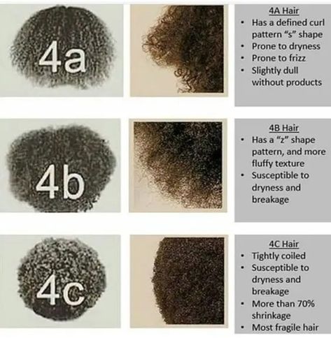 Coily Hair: How to Maintain & Style this Hair Type – Svelte Magazine 4b Hair, 4a Hair, Hair Falls, Hair 101, Hair Growth Cycle, How To Grow Natural Hair, Natural Hair Care Tips, Type 4 Hair, Afro Textured Hair