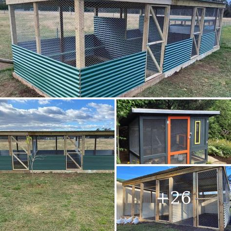 Dog Run Chicken Coop Ideas, Low Budget Chicken Coop Ideas, Budget Chicken Coop, Super Simple Chicken Coop, Budget Friendly Chicken Coop, Simple Diy Chicken Coop With Run, Large Portable Chicken Coop, Chicken Coop Run Extension, Chicken Coop Ideas