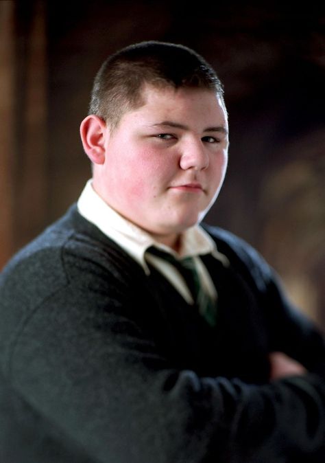 I got Vincent Crabbe! Are You More Vincent Crabbe Or Gregory Goyle? Goyle Harry Potter, Vincent Crabbe, Harry Potter Wiki, Neville Longbottom, The Goblet Of Fire, Goblet Of Fire, Cedric Diggory, Ginny Weasley, Harry Potter Film