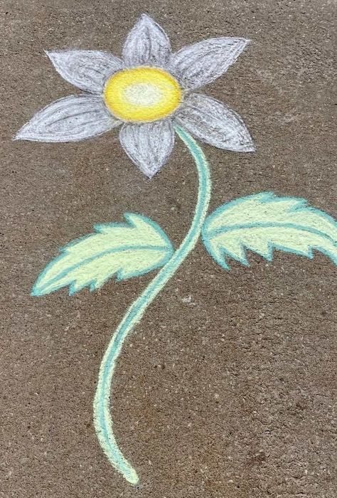 A simple daisy sidewalk chalk art drawing by Kim Egan. Drawn in June 2021. Location: at The Riverwalk Commons in Newmarket, Ontario, Canada. #sidewalk chalk art #daisy flower #chalk drawing #newmarket artist #riverwalk commons #newmarket ontario #kim egan Chalk Flowers Drawing, Simple Chalk Drawings, Easy Side Walk Chalk Art, Simple Chalk Art Sidewalk, Simple Chalk Art, Chalk Doodles, Chalk Pictures, Chalk Designs, Fun Chalk Art