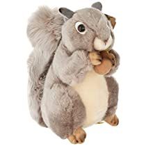 Squirrel Plush, Grey Squirrel, Realistic Stuffed Animals, Flying Squirrel, Young Animal, Cute Squirrel, Teddy Bear Stuffed Animal, Cute Fruit, Birthday Gifts For Kids