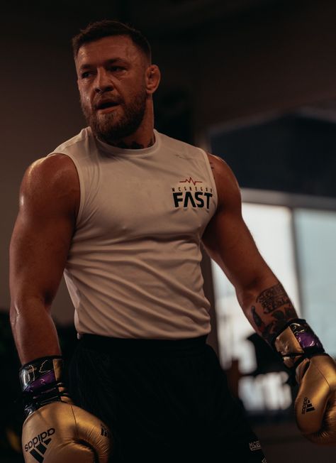 Conor Mcgregor Training, Mcgregor Training, Conor Mcgregor Wallpaper, Mcgregor Wallpapers, Boxer Aesthetic, Mc Gregor, Notorious Conor Mcgregor, Mma Training, Stop Trying