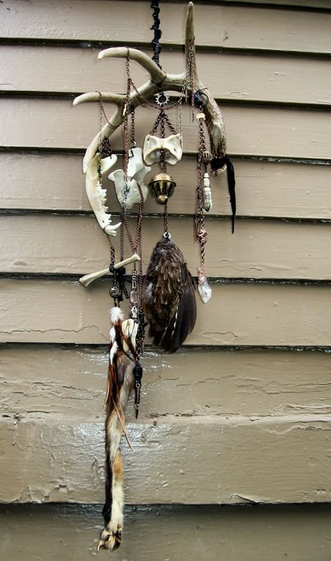 Adorned Immortal — Earth Dancer Wind Chime Coyote Jaw, Cat Bone, Fox... Oddities Decor, Antler Crafts, Antler Art, Taxidermy Art, Animal Skull, Vulture Culture, Bone Crafts, Rooster Feathers, Witchy Crafts