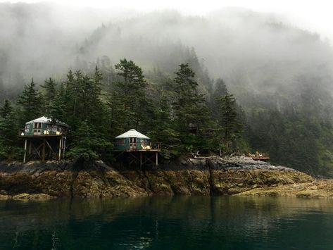 Orca Island Cabins Seward Orca Island Alaska, Orca Island, Alaska Homestead, Seward Alaska, Orcas Island, Alaska Travel, North America Travel, National Forest, Hidden Gems