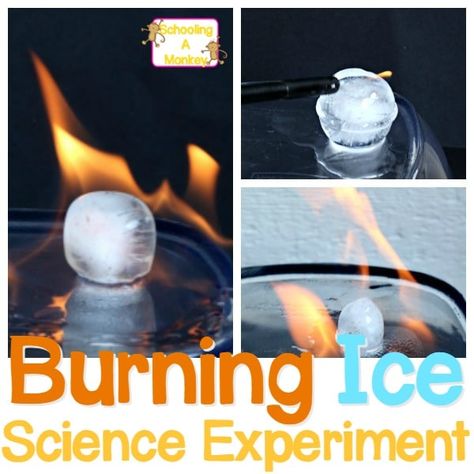 Can you burn ice? In this ice science experiment and burning ice challenge, adults can demonstrate to kids that burning ice cubes can be used to demonstrate the ice on fire experiment explanation. Add this to your collection of fire science experiments. Summer Science Experiments, Vetenskapliga Experiment, Winter Stem Activities, Science Demonstrations, Amazing Science Experiments, Winter Science, Summer Science, Science Experiments For Kids, Experiments Kids