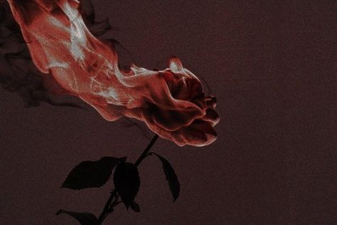 Burning Rose Aesthetic, Burning Painting, Ib Game, Burning Rose, Rose Aesthetic, Painting Aesthetic, Rosé Aesthetic, Pretty Wallpapers Backgrounds, Red Aesthetic