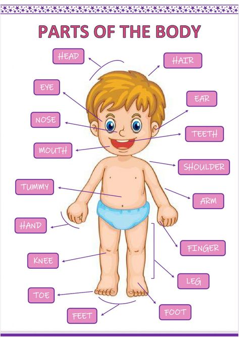 Parts of the Body Interactive worksheet Body Parts Preschool Activities, Fruits Name In English, Body Chart, Body Part Drawing, English Worksheets For Kindergarten, English Activities For Kids, Preschool Planning, Daily Yoga Workout, Parts Of The Body