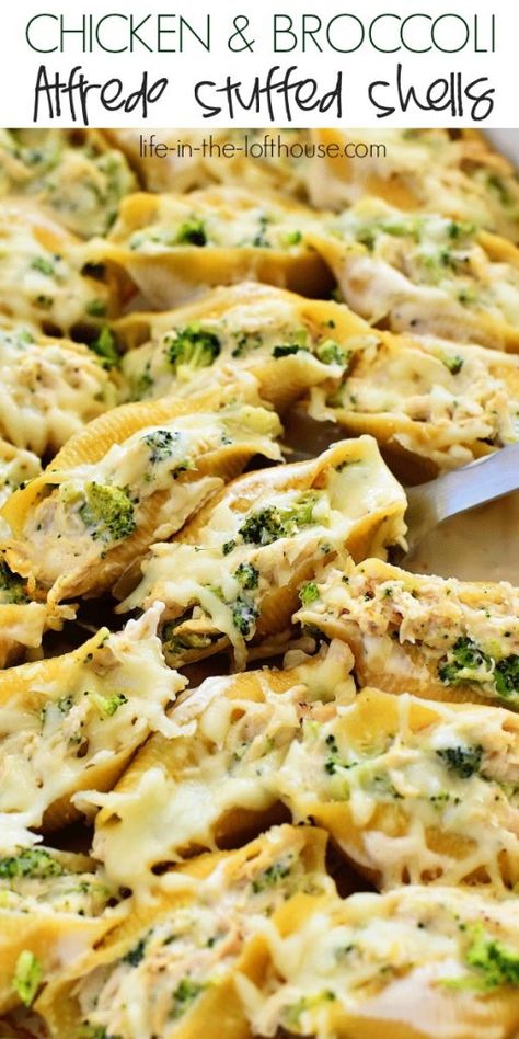 Chicken Alfredo And Broccoli Stuffed Shells, Chicken Alfredo Stuffed Pasta Shells, Chicken Alfredo Stuffed Shell, Life In The Lofthouse Recipes Chicken, Stuffed Shells Recipe Alfredo, Stuffed Pasta Shells Recipe Chicken, Stuffed Shells Chicken Broccoli, Chicken Alfredo Stuffed Shells Easy, Stuffed Chicken Alfredo Shells