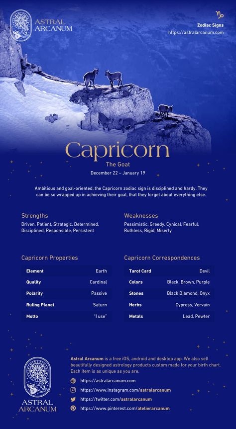 Zodiac Sign Personality, About Zodiac Signs, Digital Grimoire, Capricorn Personality, Scorpio Personality, Zodiac Chart, Zodiac Signs Characteristics, Sagittarius Personality, Birth Charts