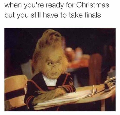 O Grinch, Christmas Memes Funny, Baby Grinch, Memes Pt, Christmas Memes, Finals Week, College Humor, School Humor, Glam Rock