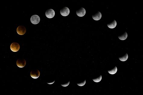 The Moon Phases and What They Mean – The Moonlight Shop Cycles Of The Moon, Tata Surya, Lego Wallpaper, Next Full Moon, Moon Phase Calendar, Gambling Tattoo, Lunar Phase, Sky Moon, Moon Cycles