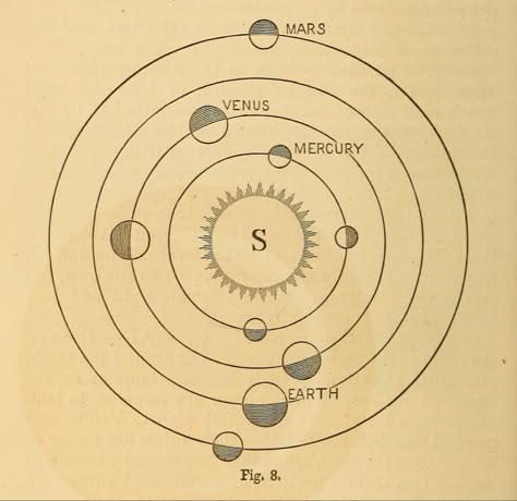 Youtube Editing, Astronomy Art, Secret Society, The Martian, Natural History, Linocut, Internet Archive, Astronomy, Gravity