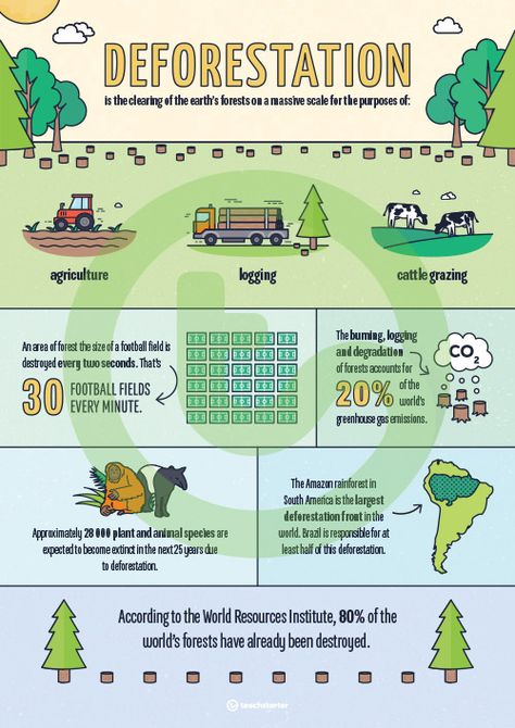 Deforestation Infographic Poster Teaching Resource Deforestation Infographic, Geography Infographic, Deforestation Facts, Deforestation Poster, Informative Poster, What Is Climate, Poster Information, Infographic Inspiration, Teaching Posters