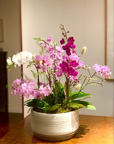 Orchid Arrangements Ideas Vases, Orchids Arrangements Ideas, Orchid Arrangements Centerpieces, Orchid Floral Arrangements, Orchid Interior Design, Orchid Centerpiece, Orchid Flower Arrangements, Orchid Centerpieces, Orchid Planters