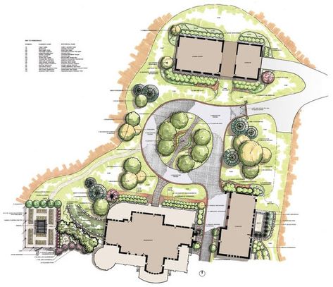 Rendered Landscape Plan, Site Plan Rendering Hand, Site Plan Landscape, Landscape Rendering, Site Plan Rendering, Plan Rendering, Render Design, Planting Plan, Landscape Plan