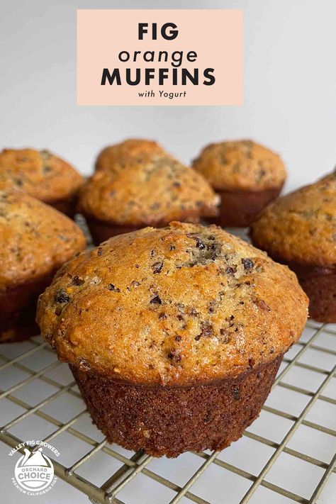 Orange Muffins with figs includes yogurt giving them a moist crumb. Save this orange muffins recipe to make any day sweet. Orange Yogurt Muffins, Fig Muffins Recipe, Bakewell Muffins, Pomegranate Muffins, Buttermilk Cornbread Muffins, Assorted Muffins, Figs Recipes, Fig Muffins, Blueberry Crumble Pie