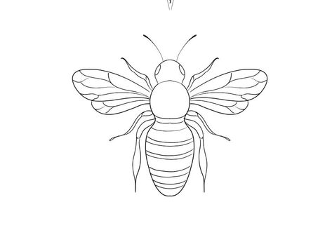 Insect Tattoo Stencil, Bee Line Tattoo, Bee Outline Tattoo, Bee Tattoo Stencil, Bee Line Drawing, Bee Line Art, Bee Outline, Snail Art, Bee Drawing