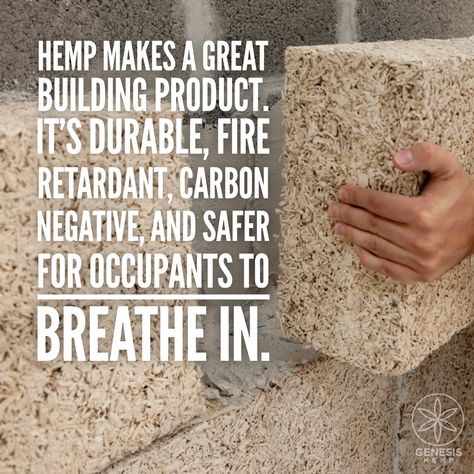 Hemp Building Materials, Hemp Homes, Hemp Farming, Green Building Materials, Hemp Plant, Hemp Products, Natural Building Materials, Earthship Home, Sustainable Building Materials