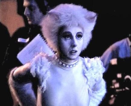 Victoria the white cat Jellicle Cats, Talking Animals, Cats Musical, White Kitten, Personal Gifts, Theatrical Makeup, Cat Woman, Cat Comics, Cat Pose