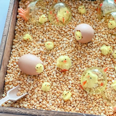 Baby Easter Sensory Play, Easter Sensory Play, Easter Toddler Activities, Easter Sensory Bin Ideas, March Sensory Bin, Egg Sensory Bin, Spring Sensory Activities, Toddler Easter Party, Spring Sensory Play