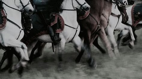 ”For King Louis!!!” she screams kicking the horse forward. The crowd follows all three horses bobbing their heads Queen Of Shadows, Connie Springer, Captive Prince, Alice Cullen, Yennefer Of Vengerberg, Into The West, Snk Cosplay, Chronicles Of Narnia, Jacob Black