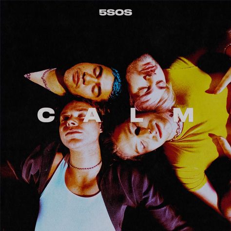 5sos Album, Storm Thorgerson, Ryan Tedder, Pop Rock Bands, Music Album Covers, Five Seconds Of Summer, Michael Clifford, Lonely Heart, Calum Hood