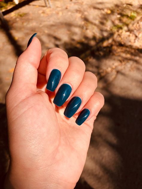 Prussian Blue Nails, Nails Brown, Prussian Blue, Blue Nails, Nails, Makeup, Blue, Quick Saves, Make Up