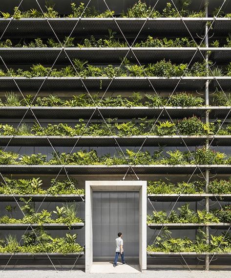 Factory Facade, Green Facade, Tropical Architecture, Alfred Stieglitz, Green Architecture, Commercial Architecture, Industrial Buildings, Sustainable Architecture, Climbing Plants