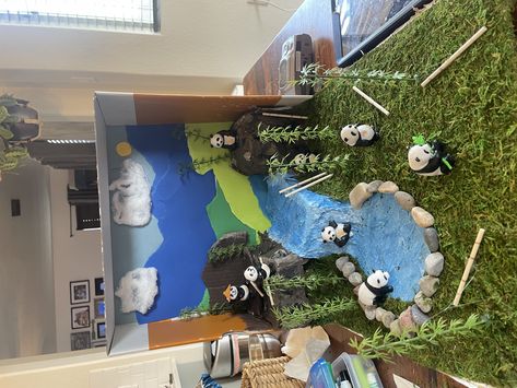 Panda Diorama, Panda Habitat, Diorama Kids, Grade School, School Projects, Habitat