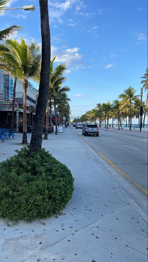 Miami Holiday, Florida Vibes, Miami Street, Miami Life, Fort Lauderdale Beach, Scenery Background, Vacation Mood, Fort Lauderdale Florida, Florida Beach