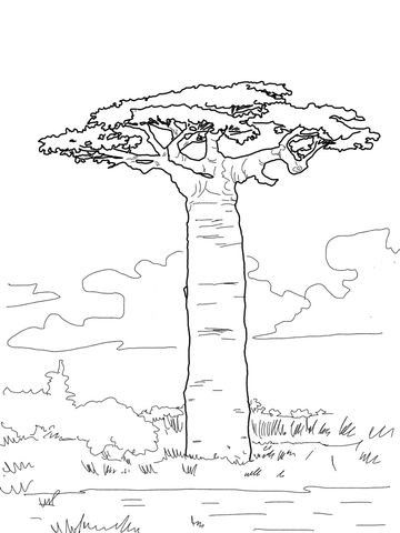 Tropisches Tattoo, Boom Kunst, African Tree, Tree Coloring, Tree Tags, Baobab Tree, Afrique Art, Tree Coloring Page, Africa Art