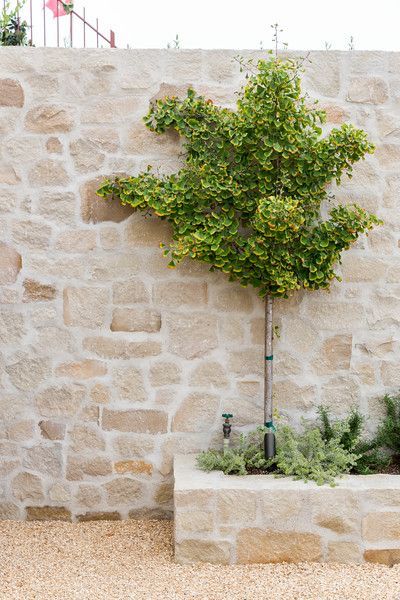 Stone Walls Garden, Stone Fence, Gravel Garden, Walled Garden, Stone Garden, Garden Studio, Garden Pool, Garden Stones, Wainscoting