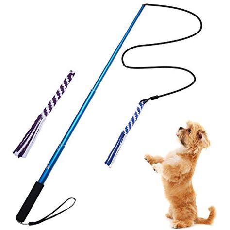 ANG Flirt Pole,Extendable Dog Teaser Wand with 2 Replacement Chew Tail Rope,Interactive Dog Tug Toy for Training,Exercising(Blue-L) >>> More info could be found at the image url. (This is an affiliate link) #dogtoys Dog Tug Toy, Outdoor Dog Toys, Dog Grooming Clippers, Durable Dog Toys, Rope Dog Toys, Me And My Dog, Outdoor Entertainment, Rope Dog, Interactive Dog Toys