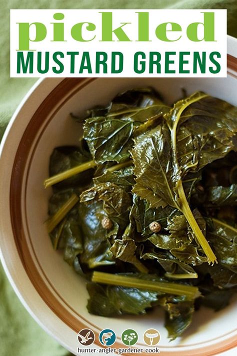 Pickled Collard Greens, Chinese Pickles, Mustard Greens Recipe, Foraged Recipes, Spring Foraging, Soul Recipes, Pickled Foods, Pickled Mustard Greens, Japanese Pickles