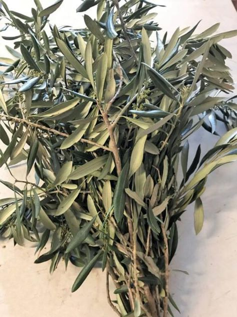 Wedding Flower Guide, Green Wedding Flowers, Wedding Flower Packages, Olive Branches, Flower Guide, Flowers Ideas, Vase Arrangements, Flower Packaging, Diy Wedding Flowers