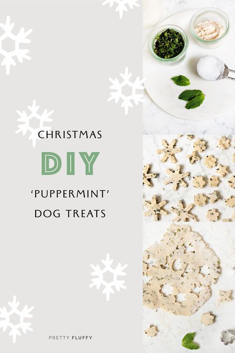 Homemade Mint Treats for Dogs: 'Puppermint' Dog Cookies Mint Dog Treats, Mint Treats, Vegetarian Dog Treats, Healthy Dog Biscuits, Peppermint Treats, Christmas Dog Treats, Dog Treat Recipe, Dog Treats Grain Free, Bite Size Cookies