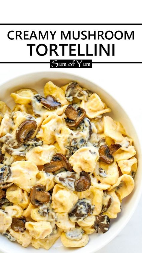 Creamy Mushroom Tortellini Creamy Mushroom Tortellini, Mushroom Cream Sauce Pasta, Tortellini Sauce Recipes, Dinner With Mushrooms, Mushroom Tortellini, Cheese Tortellini Recipes, Recipe With Mushrooms, Easy Pasta Recipe, Mushroom Recipes Pasta