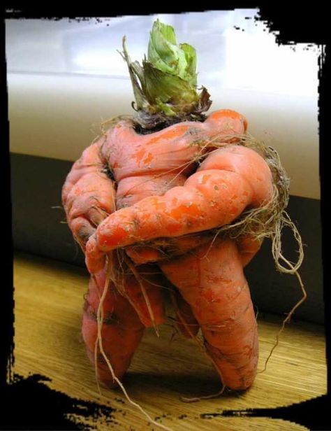 Weird Fruit, Funny Vegetables, Matka Natura, Funny Fruit, Funny Food, Weird Shapes, Fruit And Veg, Food Humor, Really Funny Pictures