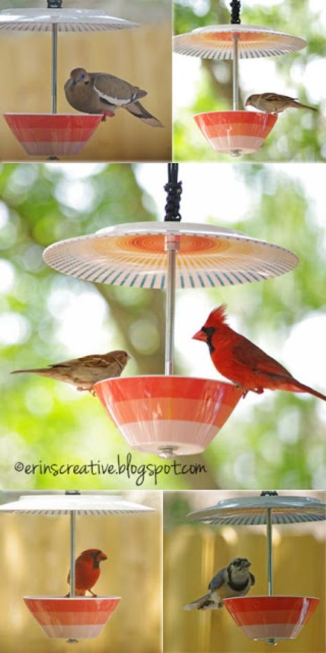 DIY Bird Feeders - Make Your Own Bird Feeder - Easy Do It Yourself Homemade Bird Feeder Ideas from Mason Jar, Wooden, Wine Bottle, Milk Jug, Plastic, Dollar Store Supplies - Squirrel Proof, Unique and Creative Tutorials That Make Cool DIY Gifts #diyideas #birds Glass Bottle Bird Feeder, Cool Diy Gifts, Bird Feeders Diy, Homemade Bird Feeder, Platform Bird Feeder, Bird Feeder Station, Wine Bottle Bird Feeder, Finch Feeders, Unique Bird Feeders