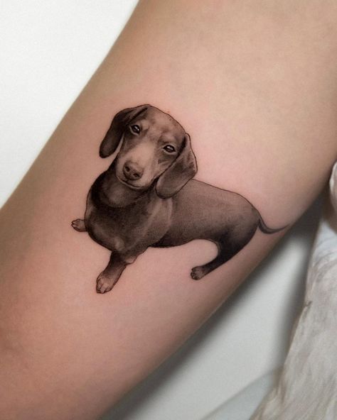 Dachshund Tattoo, Paris Books, Books Open, 12 Books, Weiner Dog, Dog Tattoos, Open Book, Tattoo On, Dachshund