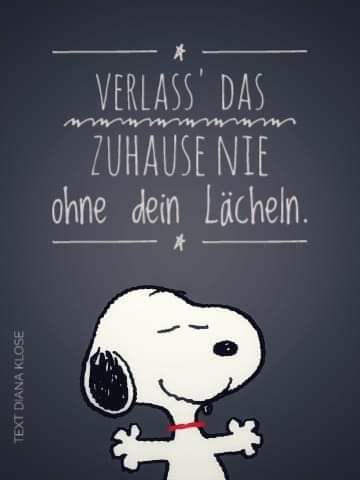 Charly Brown, Snoopy Und Woodstock, Snoopy And Woodstock, A Cartoon, Woodstock, Charlie Brown, Gratitude, Snoopy, Humor