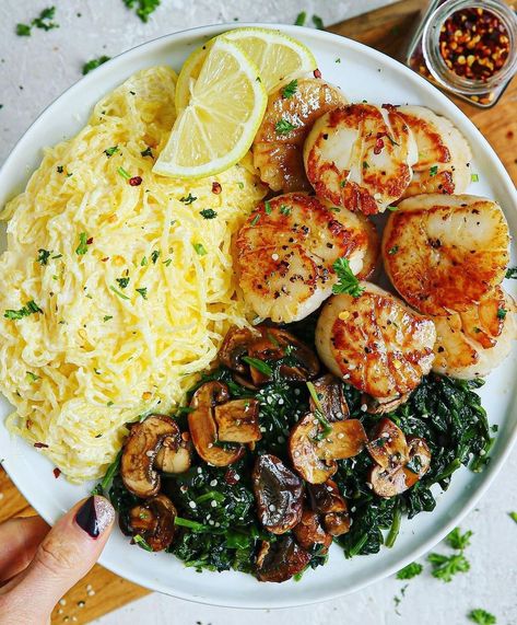 Fit Healthy Recipes on Instagram: “SEARED HONEY PAPRIKA SCALLOPS, DAIRY FREE SPAGHETTI SQUASH ALFREDO AND GARLICKY SPINACH AND MUSHROOMS. Happy Monday! Yum, this creamy…” Dairy Free Spaghetti, Scallop Spaghetti, Fish Sauce Substitute, Caitlin Greene, Spaghetti Squash Alfredo, Squash Alfredo, Start Keto, Starting Keto Diet, Pasta Lover