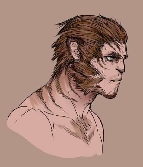 Swiftstride Shifter Gloom Stalker Ranger Wildhunt Shifter, Werebear Character Design, Werewolf Art, Fantasy Races, Dungeons And Dragons Characters, Dnd Art, Fantasy Rpg, Fantasy Inspiration, Medieval Fantasy