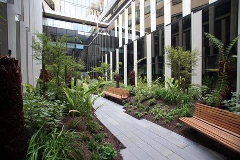 One of the new hospital's outdoor spaces. Picture: GLENN DANIELS Medical Clinic Design, Architecture Design Presentation, California Architecture, Inexpensive Decor, New Hospital, Decorating Advice, Hospital Design, Outdoor Classroom, Clinic Design