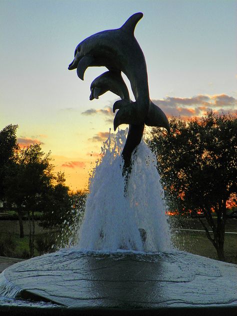 Zen Garden Landscaping, Contemporary Outdoor Fountains, Dolphin Fountain, Water Feature Ideas, Courtyard Fountain, Beautiful Fountains, Jensen Beach Florida, Modern Water Feature, Water Architecture