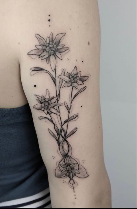 *doesnt belong to me* Edelweiss Tattoo Simple, Edelweiss Flower Tattoo, Edelweiss Tattoo, Iris Flower Tattoo, Stella Alpina, Germany Tattoo, German Flower, Tribute Tattoos, Dragonfly Tattoo Design