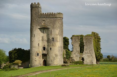 Ballyadams Castle, County Laois, Ireland Castles Ireland, Laois Ireland, Ireland Culture, British Castles, Medieval Castles, Beautiful Ruins, Castles In Ireland, Family Story, Medieval Fortress